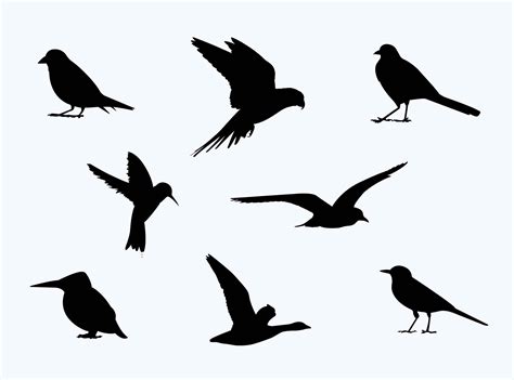 silhouettes of birds|hobby bird silhouette.